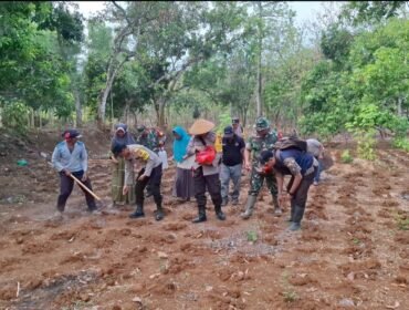 Polsek Lumbang mengajak masyarakat menanam bibit jagung